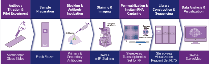 Tissue to Data End-to-end STOmics Solution
